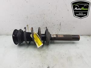 Shock Absorber VW CADDY V Box Body/MPV (SBA, SBH)