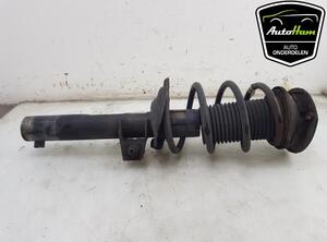 Shock Absorber VW TIGUAN (AD1, AX1), VW TIGUAN ALLSPACE (BW2)