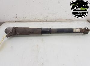 Shock Absorber VW GOLF VII (5G1, BQ1, BE1, BE2)