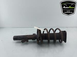 Shock Absorber FORD C-MAX (DM2), FORD FOCUS C-MAX (DM2), FORD FOCUS II (DA_, HCP, DP)