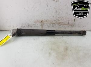 Shock Absorber SKODA KAMIQ (NW4)