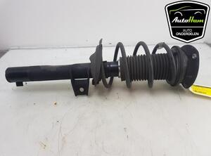 Shock Absorber VW GOLF VII Variant (BA5, BV5)