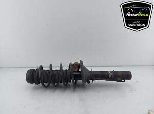 Shock Absorber VW GOLF IV (1J1), VW GOLF IV Variant (1J5), SEAT TOLEDO II (1M2), SKODA OCTAVIA I Combi (1U5)