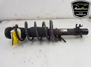 Shock Absorber SEAT IBIZA IV (6J5, 6P1)