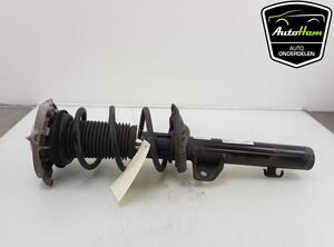 Shock Absorber CUPRA BORN (K11)