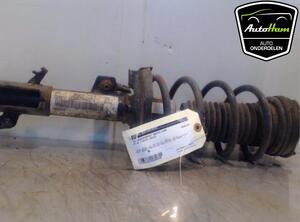 Shock Absorber FORD FIESTA VI (CB1, CCN), FORD FIESTA VI Van