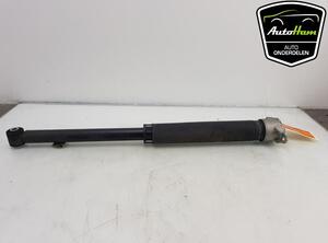 Shock Absorber FORD FIESTA VII (HJ, HF)