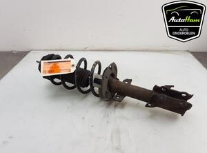 Shock Absorber FORD FIESTA VI (CB1, CCN)