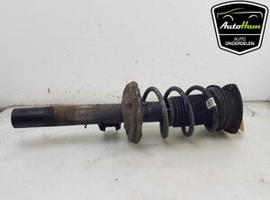 Shock Absorber AUDI A3 Limousine (8VS, 8VM), AUDI A3 Sportback (8VA, 8VF)