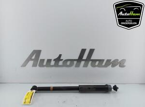 Shock Absorber RENAULT CAPTUR II (HF_)