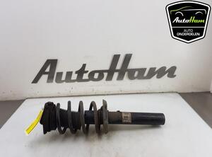 Shock Absorber AUDI A3 (8P1), AUDI A3 Sportback (8PA)