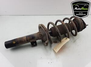 Shock Absorber FORD TRANSIT CONNECT (P65_, P70_, P80_), FORD TRANSIT CUSTOM V362 Van (FY, FZ)