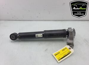 Shock Absorber VW MULTIVAN T7 (STM, STN)