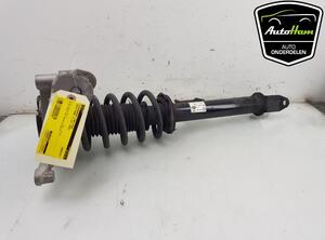 Shock Absorber TESLA MODEL 3 (5YJ3)