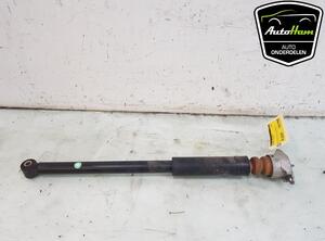 Shock Absorber FORD FIESTA VI (CB1, CCN)