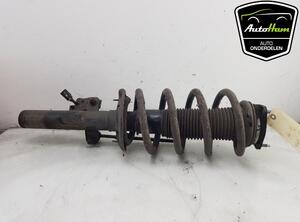 Shock Absorber FORD TRANSIT V363 Bus (FAD, FBD), FORD TRANSIT V363 Van (FCD, FDD)