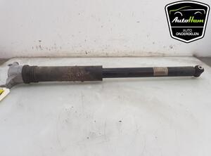 Shock Absorber MERCEDES-BENZ A-CLASS (W177)