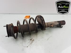 Shock Absorber FORD TRANSIT CONNECT (P65_, P70_, P80_), FORD TRANSIT CUSTOM V362 Van (FY, FZ)