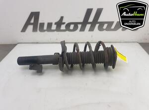 Shock Absorber FORD FOCUS II Turnier (DA_, FFS, DS)