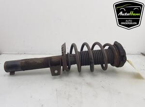 Shock Absorber VW GOLF VI (5K1)