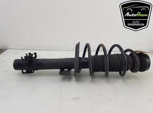 Shock Absorber SEAT IBIZA IV (6J5, 6P1), SEAT IBIZA IV SC (6J1, 6P5), VW POLO (6R1, 6C1), VW POLO Van (6R)