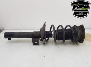 Shock Absorber SEAT LEON ST (5F8), SEAT LEON (5F1), SEAT LEON SC (5F5)