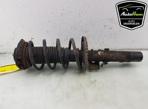 Shock Absorber VW POLO (9N_)