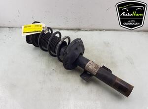 Shock Absorber VW POLO (AW1, BZ1)