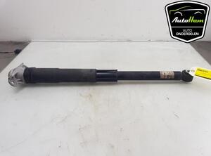 Shock Absorber SKODA KAMIQ (NW4)