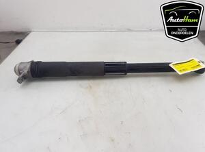 Shock Absorber SKODA KAMIQ (NW4)