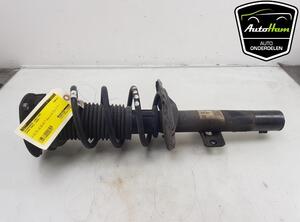 Shock Absorber SKODA KAMIQ (NW4)