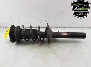 Shock Absorber SEAT LEON (5F1), SEAT LEON SC (5F5), SEAT LEON ST (5F8)