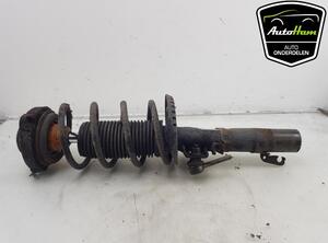 Shock Absorber VW FOX Hatchback (5Z1, 5Z3, 5Z4), SEAT CORDOBA (6L2), SEAT IBIZA III (6L1)