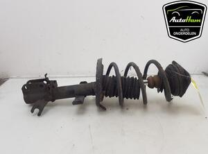 Shock Absorber RENAULT CLIO III (BR0/1, CR0/1)