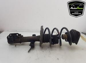 Shock Absorber RENAULT CLIO III (BR0/1, CR0/1)