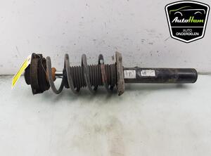 Shock Absorber VW GOLF V (1K1), VW GOLF VI (5K1), VW GOLF VAN VI Variant (AJ5), VW GOLF VI Van (5K1_)