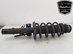 Shock Absorber SKODA FABIA II (542), SKODA FABIA I (6Y2), SKODA FABIA II Combi (545), SKODA ROOMSTER Praktik (5J)