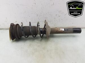 Shock Absorber SEAT LEON ST (5F8), SEAT LEON (5F1), SEAT LEON SC (5F5)