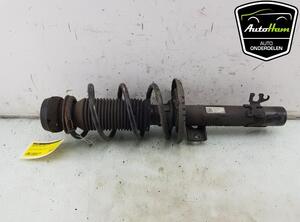 Shock Absorber AUDI A1 (8X1, 8XK), AUDI A1 Sportback (8XA, 8XF)