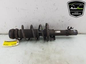 Shock Absorber AUDI A1 (8X1, 8XK), AUDI A1 Sportback (8XA, 8XF)