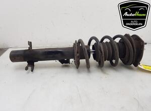 Shock Absorber MINI MINI COUNTRYMAN (R60), MINI MINI CLUBVAN (R55)