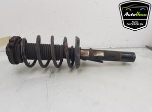 Shock Absorber VW CADDY III Box Body/MPV (2KA, 2KH, 2CA, 2CH)