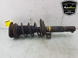 Shock Absorber SEAT LEON (5F1), SEAT LEON SC (5F5)