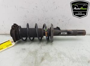 Shock Absorber SKODA OCTAVIA II Combi (1Z5), VW GOLF VI (5K1), SKODA OCTAVIA II (1Z3), VW GOLF V (1K1)