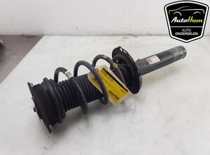 Shock Absorber SKODA KODIAQ (NS7, NV7, NS6)