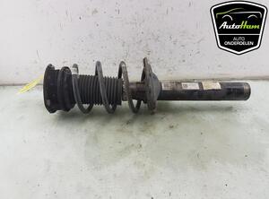 Shock Absorber VW GOLF VII (5G1, BQ1, BE1, BE2), SEAT IBIZA IV (6J5, 6P1), SEAT IBIZA IV SC (6J1, 6P5)