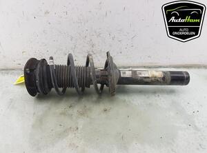 Shock Absorber VW GOLF VII (5G1, BQ1, BE1, BE2), SEAT IBIZA IV (6J5, 6P1), SEAT IBIZA IV SC (6J1, 6P5)