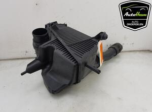 Luftfiltergehäuse Renault Kangoo II - Grand Kangoo KW0 8200788196 P18754384