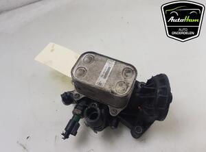 Oil Filter Housing Box SEAT IBIZA IV (6J5, 6P1), SEAT IBIZA IV SC (6J1, 6P5), VW POLO (6R1, 6C1)