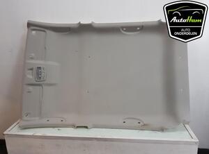 Front Interior Roof Trim Panel SUZUKI CELERIO (LF)